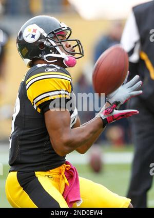 Pittsburgh Steelers wide receiver Antwaan Randle El (82) before