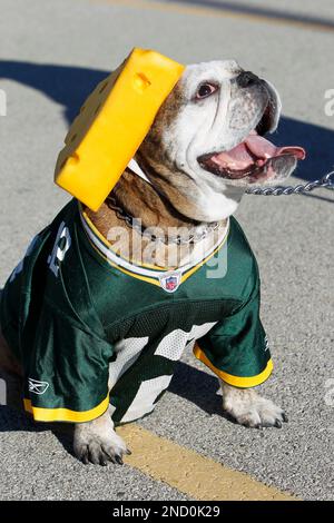 Green Bay Packers Dog Jersey