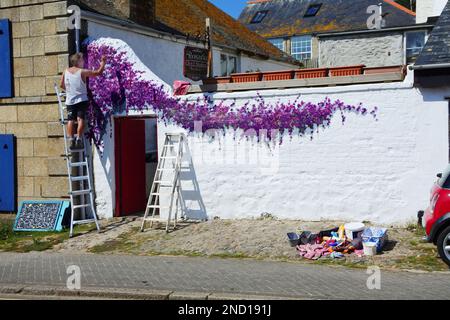 Adult male painting a flower mural on an exterior wall, Marazion, Cornwall, UK - John Gollop Stock Photo