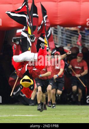 Arizona Cardinals mascot Big Red celebrates a touchdown against the Seattle  Seahawks during an NFL Professional Football Game Sunday, Jan. 9, 2022, in  Phoenix. (AP Photo/John McCoy Stock Photo - Alamy