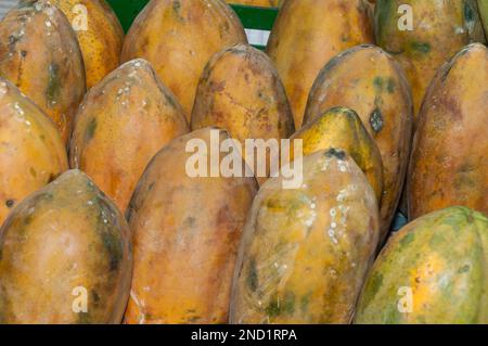 Papaya fruit in supermarket - Scientific name: Carica papaya Stock ...