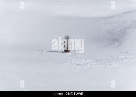 View of winter snow landscapes in the mountains with a small tree in the middle. Abstracts and backgrounds. Textures. Stock Photo