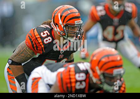 Cincinnati Bengals linebacker Rey Maualuga adjusts his hair during practice  at NFL football training camp on Wednesday, Aug. 10, 2011, in Georgetown,  Ky. (AP Photo/Al Behrman Stock Photo - Alamy