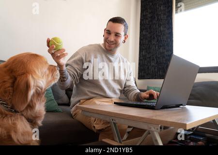 Cheerful young male owner sitting at table with laptop and playing with adorable dog with ball during remote work from home Stock Photo