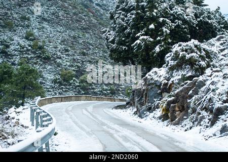 Empty asphalt road going through green snowy forest and hills in winter countryside Stock Photo