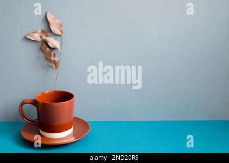 Brown coffee cup and plant on blue table Stock Photo