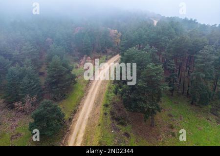 Drone aerial top view of narrow path in between lush green trees growing in woodland in mountain in countryside Stock Photo