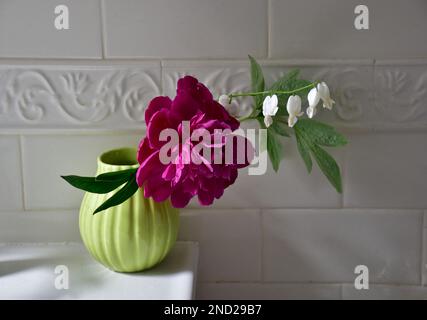 Peony and white Bleeding Heart in vase Stock Photo