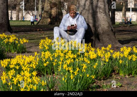 St James's Park, London, UK. 15th Feb, 2023. The day has been sunny since a cool dawn, but has warmed up to around 14 degrees Celsius in the city. People are out enjoying the parks Stock Photo