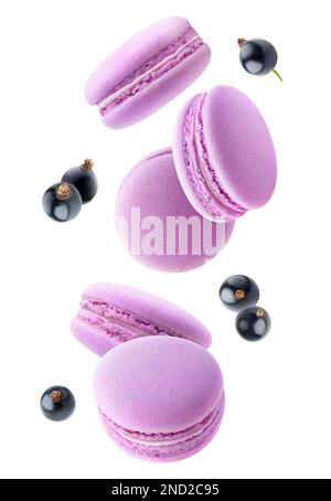 Pink macaroons and black currants levitation isolated on white background Stock Photo