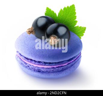 One black currants flavored macaroon with berries on top, isolated on white background Stock Photo