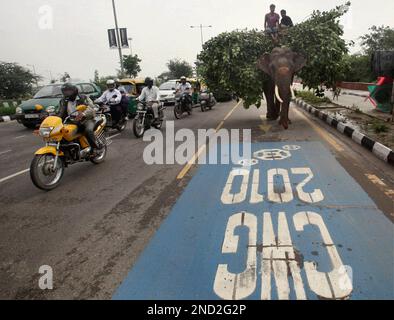 Delhi the Elephant slot