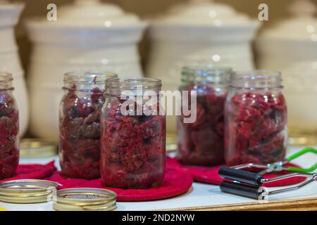 Canning venison in a northern Wisconsin kitchen. Stock Photo