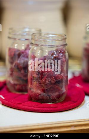 Canning venison in a northern Wisconsin kitchen. Stock Photo