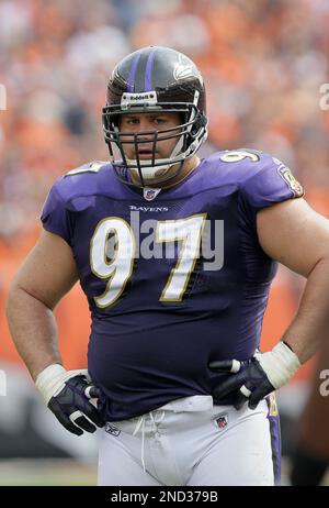 30 July 2010: Baltimore Ravens defensive tackle Kelly Gregg (97) in action  during Ravens training camp at McDaniel College in Westminster,  MDMandatory Credit: Russell Tracy / Southcreek Global. (Credit Image: ©  Russell