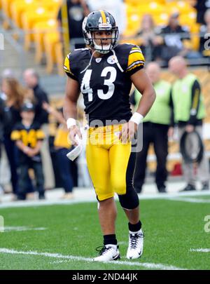 Download Ex-Pittsburgh Steelers star Troy Polamalu on the field at Heinz  Field. Wallpaper