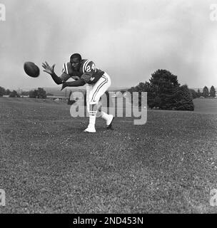 Quarterback Johnny Unitas of the Baltimore Colts poses in Westminster, MD  on July, 19, 1961. (AP Photo Stock Photo - Alamy