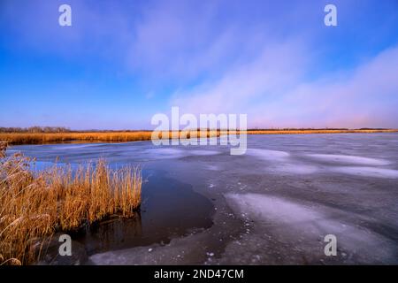 BADEN-WUERTTEMBERG : BAD BUCHAU - FEDERSEE - FEDERSEESTEG Stock Photo