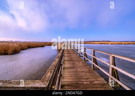 BADEN-WUERTTEMBERG : BAD BUCHAU - FEDERSEE - FEDERSEESTEG Stock Photo