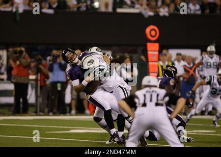 Photo: New York Jets Shaun Ellis Sacks Baltimore Ravens quarterback Joe  Flacco at New Meadowlands Stadium in New Jersey - NYP20100913105 