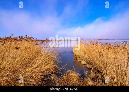 BADEN-WUERTTEMBERG : BAD BUCHAU - FEDERSEE - FEDERSEESTEG Stock Photo