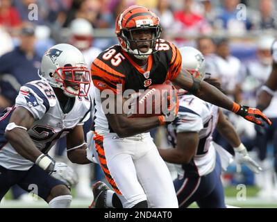 Cincinnati Bengals wide receiver Chad Ochocinco (85) makes a nice catch in  practice from Georgetown College in Georgetown Ky. (Credit Image: © Wayne  Litmer/Southcreek Global/ZUMApress.com Stock Photo - Alamy