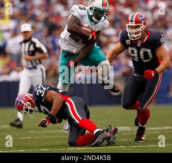 Buffalo Bills free safety George Wilson (37) celebrates after making an  interception during the first quarter against the Miami Dolphins during an  NFL football game in Miami, Sunday, Dec. 19, 2010. (AP