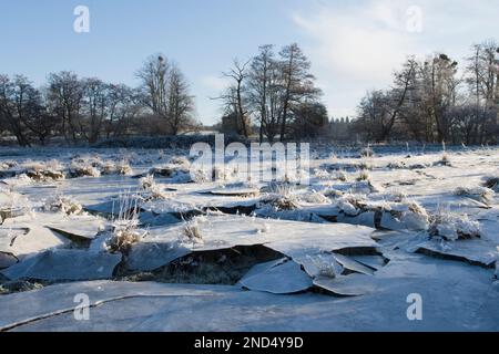 collapsed ice, field flooded and then froze, water drained away leaving suspended ice which then collapsed, in field, Cowdray Ruins, Sussex, Stock Photo