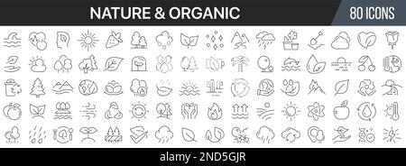 Nature and organic line icons collection. Big UI icon set in a flat design. Thin outline icons pack. Vector illustration EPS10 Stock Vector