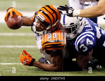 Cincinnati Bengals Jerome Simpson makes a touchdown against the Seattle  Seahawks in the first half of an NFL football game, Sunday, Oct. 30, 2011,  in Seattle. (AP Photo/Ted S. Warren Stock Photo 