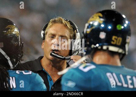 Jacksonville Jaguars safety Reggie Nelson during an NFL football game  against the Tennessee Titans, Sunday, Oct. 4, 2009, in Jacksonville,  Fla.(AP Photo/Phil Coale Stock Photo - Alamy