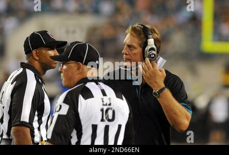 Jacksonville Jaguars safety Reggie Nelson during an NFL football game  against the Tennessee Titans, Sunday, Oct. 4, 2009, in Jacksonville,  Fla.(AP Photo/Phil Coale Stock Photo - Alamy