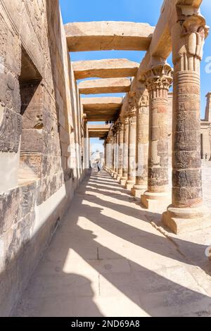 Aswan, Egypt; February 14, 2023 - A row of columns at the Temple of Philae, Aswan, Egypt. Stock Photo