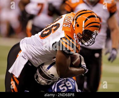 Cincinnati Bengals tight end Daniel Coats and Green Bay Packers