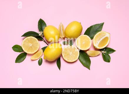 Many fresh ripe lemons with green leaves and flowers on pink background, flat lay Stock Photo