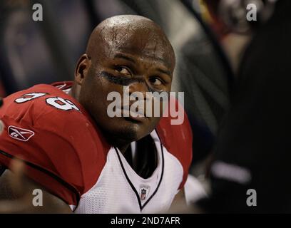 Arizona Cardinals defensive tackle Gabe Watson against the Houston