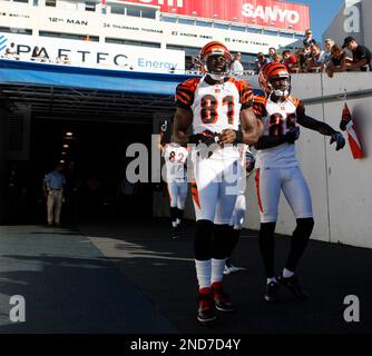 Cincinnati Bengals wide receiver Terrell Owens (81) during practice at the  Bengals training camp in Georgetown Ky. (Credit Image: © Wayne  Litmer/Southcreek Global/ZUMApress.com Stock Photo - Alamy