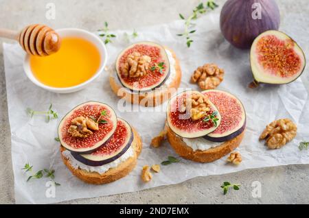 Bruschetta with fresh ricotta cheese, figs, nuts, thyme and honey on gray concrete background. Stock Photo