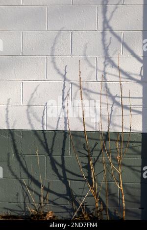 WA22974-00...WASHINGTON - Lines, shadows and reflections on an old storage building behind the West Point Lighthouse in Seattle's Discovery Park. Phot Stock Photo