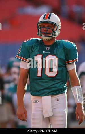 Miami Dolphins quarterback Chad Pennington watches the defencse in action  against the San Francisco 49ers at