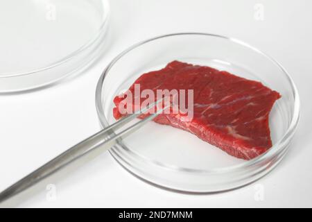 Petri dish with piece of raw cultured meat and tweezers on white table, closeup Stock Photo