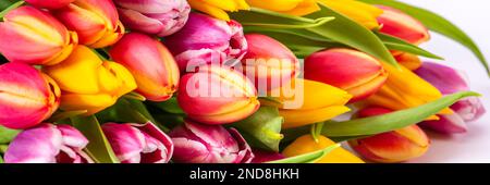 bunch of colorful tulip flowers Stock Photo