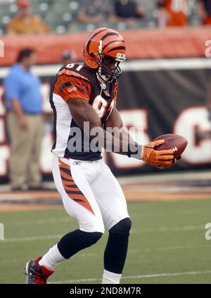 Cincinnati Bengals wide receiver Terrell Owens (81) warms up prior to an  NFL football game against the Cleveland Browns, Sunday, Dec. 19, 2010, in  Cincinnati. (AP Photo/Al Behrman Stock Photo - Alamy