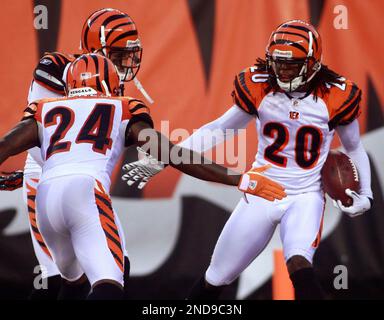 Cincinnati Bengals cornerback David Jones Sunday, Aug. 15, 2010, in  Cincinnati. (AP Photo/Tony Tribble Stock Photo - Alamy