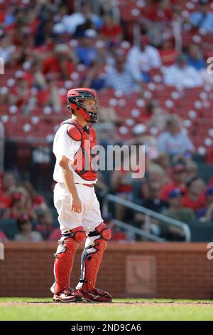 St. Louis Cardinals catcher Steve Lake hangs tough against an