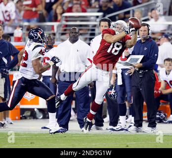 Houston Texans safety Torri Williams (42) is pictured prior to their  preseason NFL football game against the New Orleans Saints at the Louisiana  Superdome in New Orleans, La., Saturday, Aug. 21, 2010. (