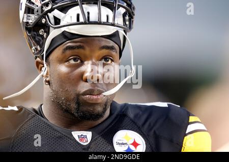 Pittsburgh Steelers linebacker Stevenson Sylvester (47) stands on the  sidelines during the first quarter of a preseason NFL football game against  the Detroit Lions in Pittsburgh, Saturday, Aug. 14, 2010. The Steelers