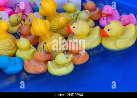 Rubber Ducks in Pool Amusement Park Fishing Game Stock Photo - Alamy