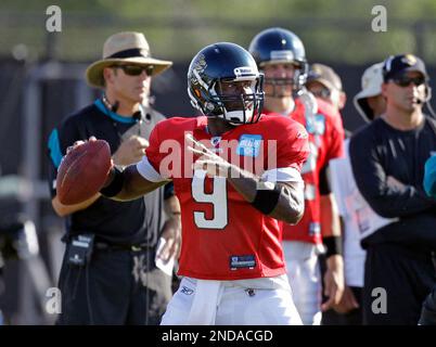 Jacksonville Jaguars quarterback David Garrard (9) waves to the crowd  during the NFL football Pro Bowl Sunday, Jan. 31, 2010, in Miami. (AP  Photo/Mark Humphrey Stock Photo - Alamy