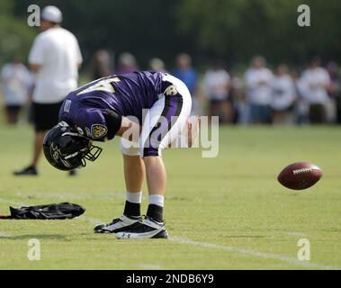 Cleveland Browns wide receiver Josh Cribbs is separated from his helmet and  the ball by Baltimore Ravens long snapper Morgan Cox resulting in a  turnover during the first half of their game